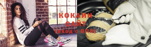 ГАЛЛЮЦИНОГЕННЫЕ ГРИБЫ Арсеньев