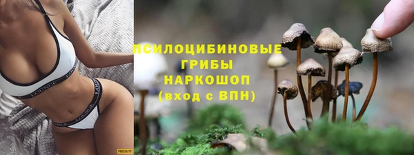 ГАЛЛЮЦИНОГЕННЫЕ ГРИБЫ Арсеньев
