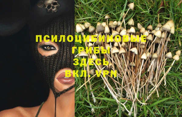 винт Аркадак