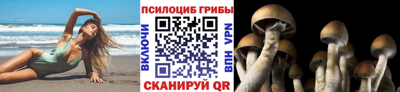 Псилоцибиновые грибы Psilocybine cubensis  OMG рабочий сайт  Тавда 